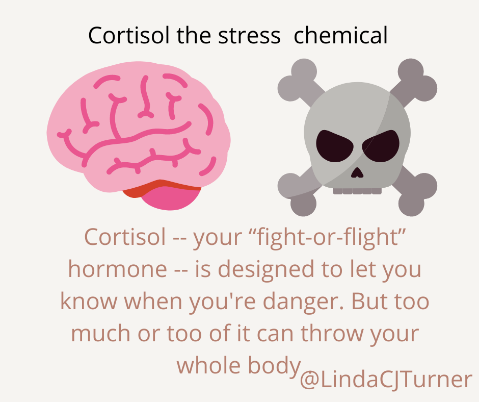The Brain Chemistry of a Trauma Bond – Linda C J Turner | Trauma ...