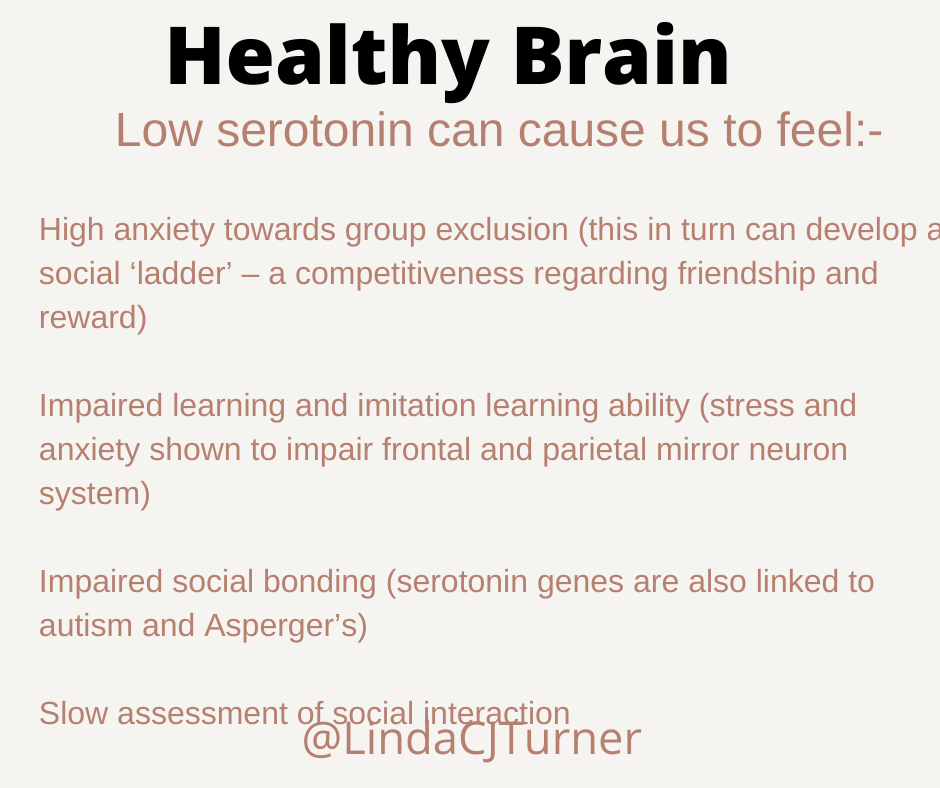 The Brain Structure of Abusers – Linda C J Turner | Trauma Therapist ...