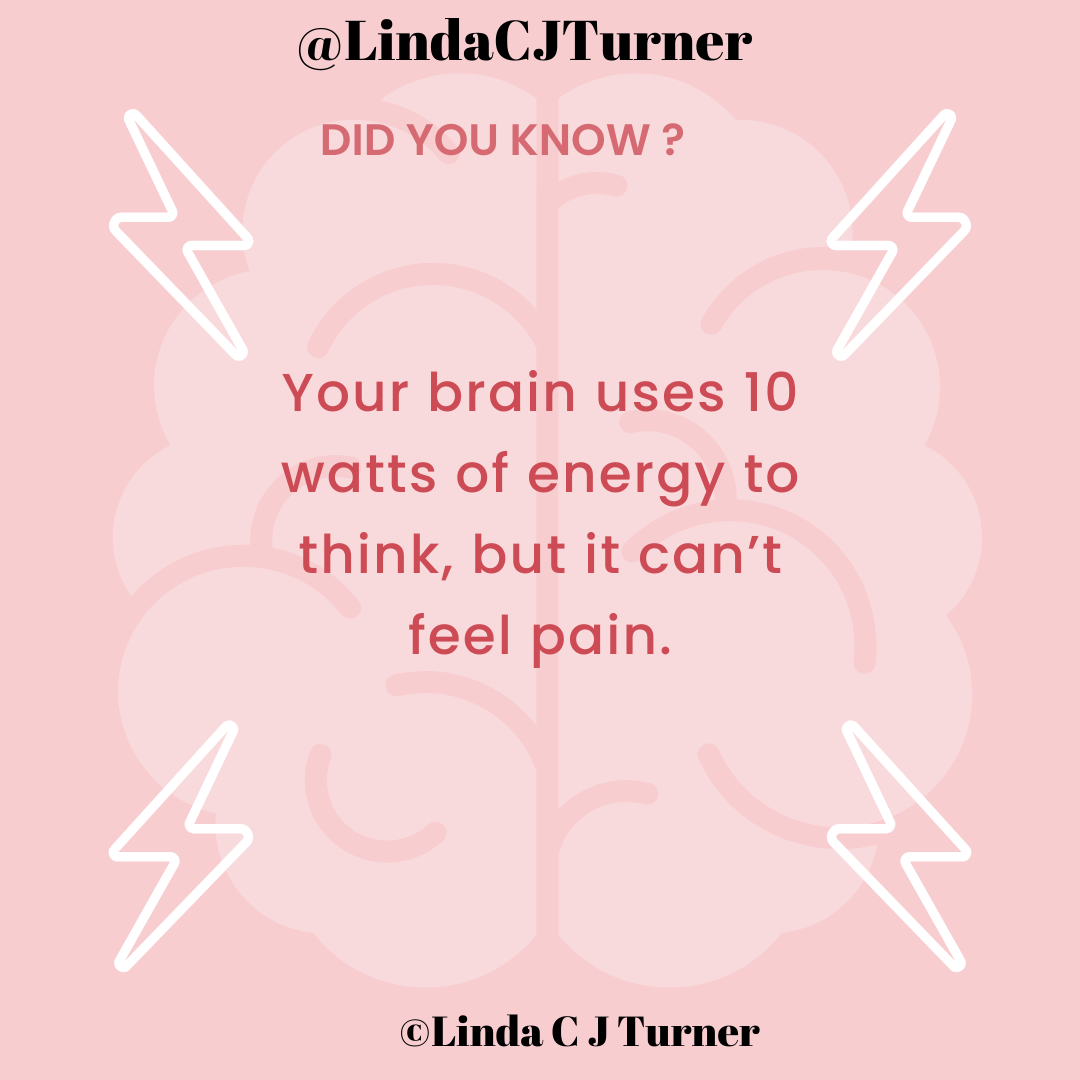 Abuse and the brain – Linda C J Turner | Trauma Therapist & Emotional ...