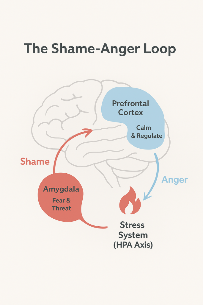 By Linda C J Turner, Therapist & Advocate — Linda C J Turner Trauma Therapist | Neuroscience & Emotional Intelligence Practitioner | Advocate for Women’s Empowerment ©Linda C J Turner