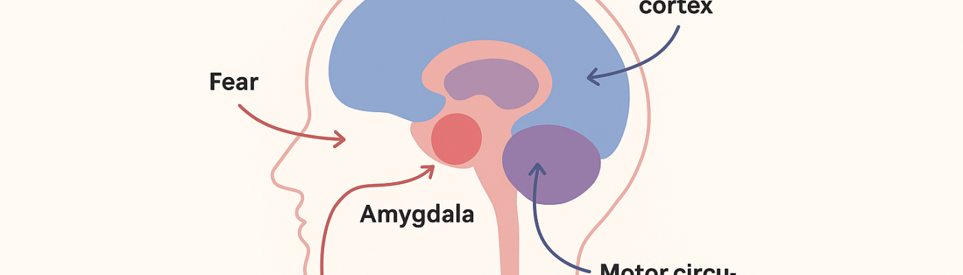 By Linda C J Turner, Therapist & Advocate — Linda C J Turner Trauma Therapist | Neuroscience & Emotional Intelligence Practitioner | Advocate for Women’s Empowerment ©Linda C J Turner