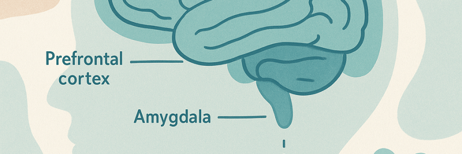 By Linda C J Turner, Therapist & Advocate — Linda C J Turner Trauma Therapist | Neuroscience & Emotional Intelligence Practitioner | Advocate for Women’s Empowerment ©Linda C J Turner