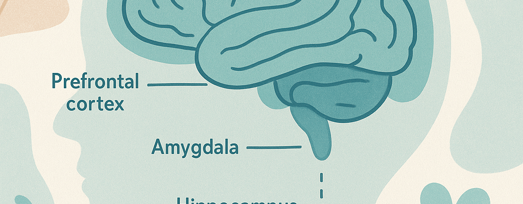 By Linda C J Turner, Therapist & Advocate — Linda C J Turner Trauma Therapist | Neuroscience & Emotional Intelligence Practitioner | Advocate for Women’s Empowerment ©Linda C J Turner