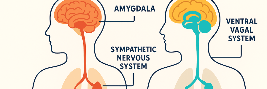 By Linda C J Turner, Therapist & Advocate — Linda C J Turner Trauma Therapist | Neuroscience & Emotional Intelligence Practitioner | Advocate for Women’s Empowerment ©Linda C J Turner © 2025 Linda Carol Turner. Content protected by copyright. Reproduction or redistribution in any form requires prior written permission from the author. When quoting or referencing, please cite: Linda Carol Turner, Psychology & Neuroscience Insights.