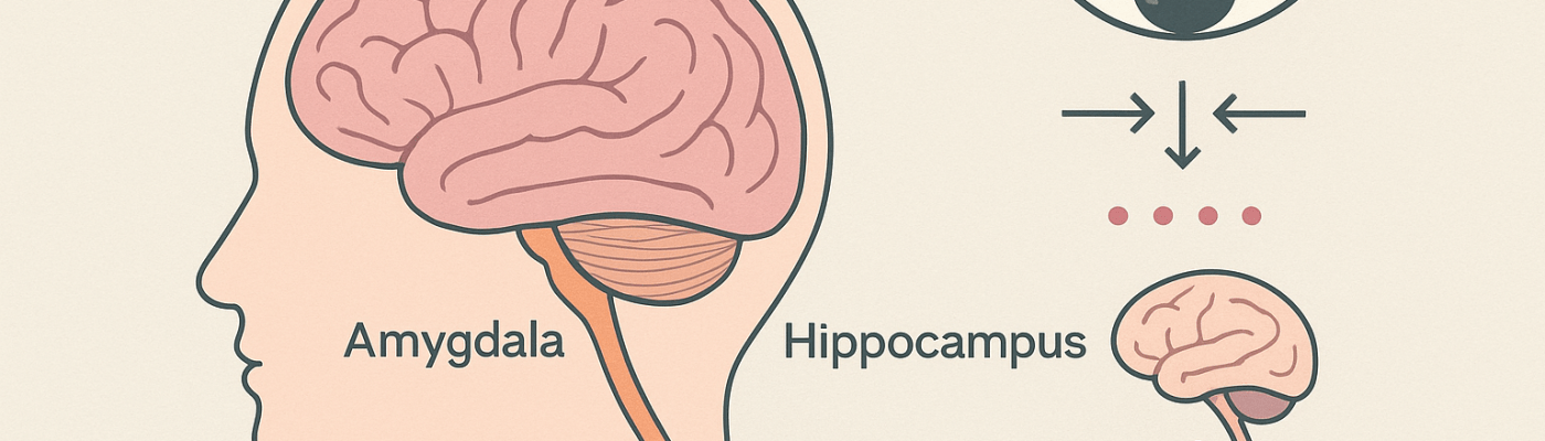 © 2025 Linda Carol Turner. Content protected by copyright. Reproduction or redistribution in any form requires prior written permission from the author. When quoting or referencing, please cite: Linda Carol Turner, Psychology & Neuroscience Insights.